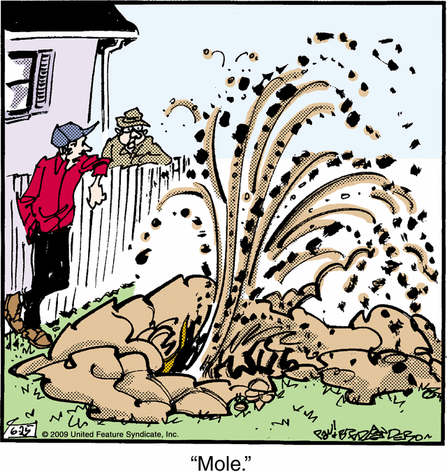 marmaduke